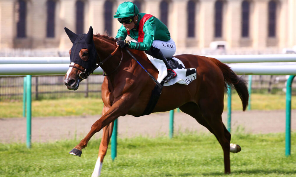 Cravache De Équitation Avec Flop A en Forme De