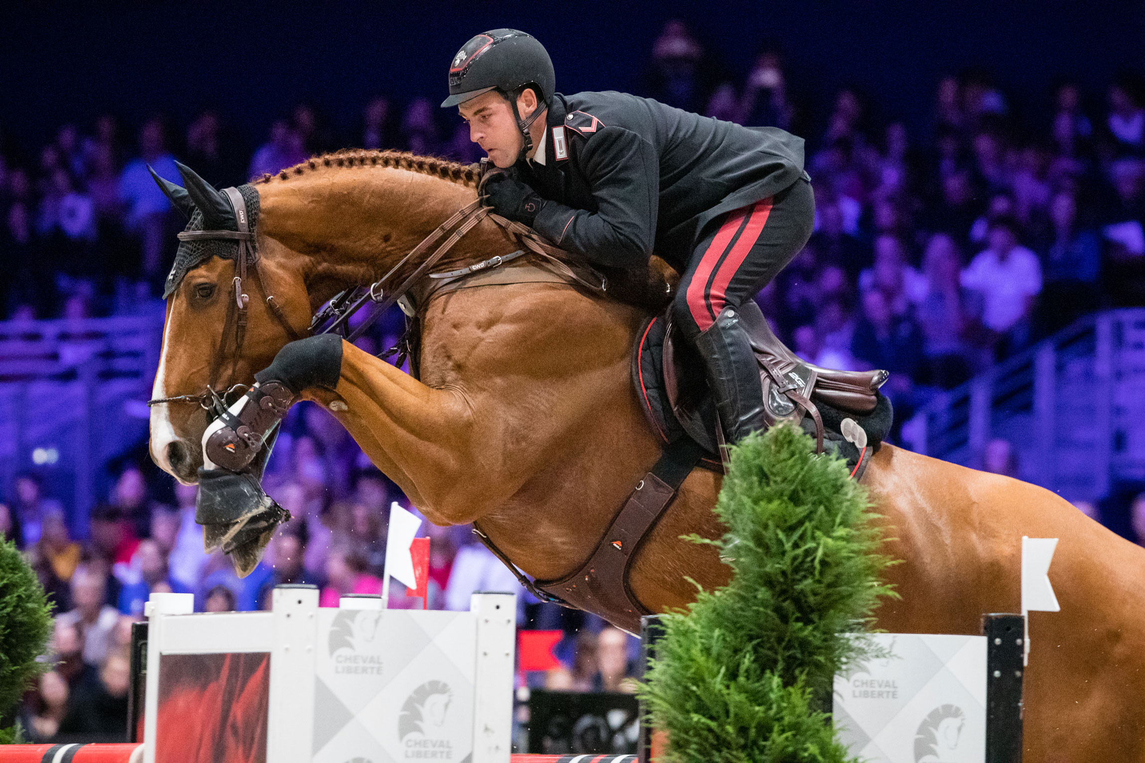 Trophée Maroc Equestre 2023 : Le Galop des Etoiles…les lumières sur la piste